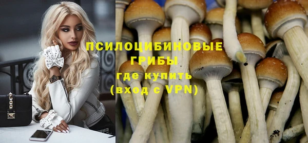 apvp Володарск